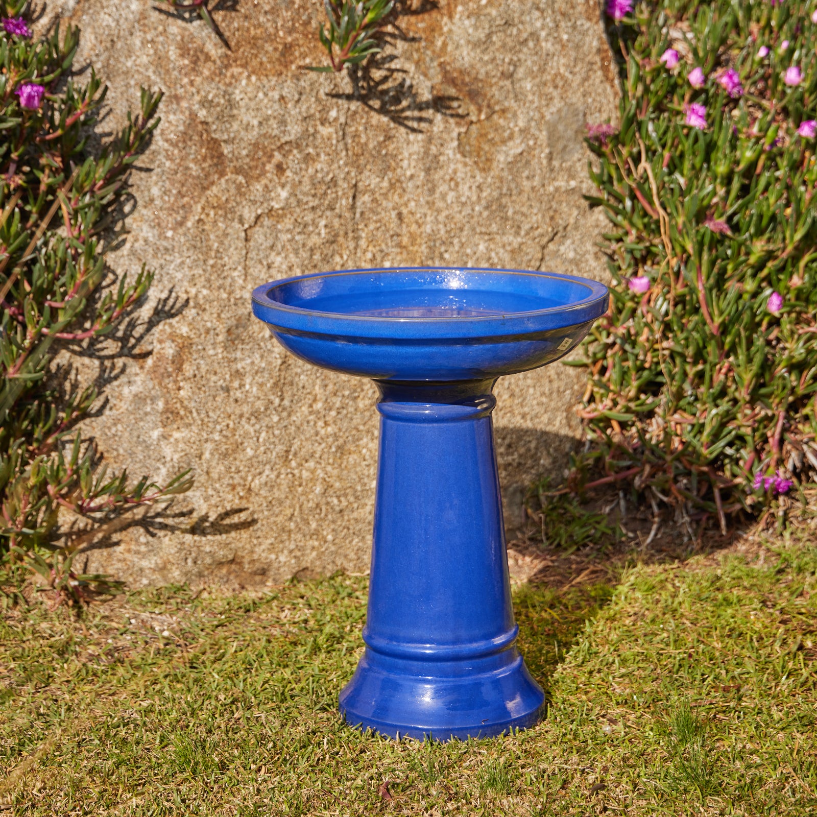 Bird Bath